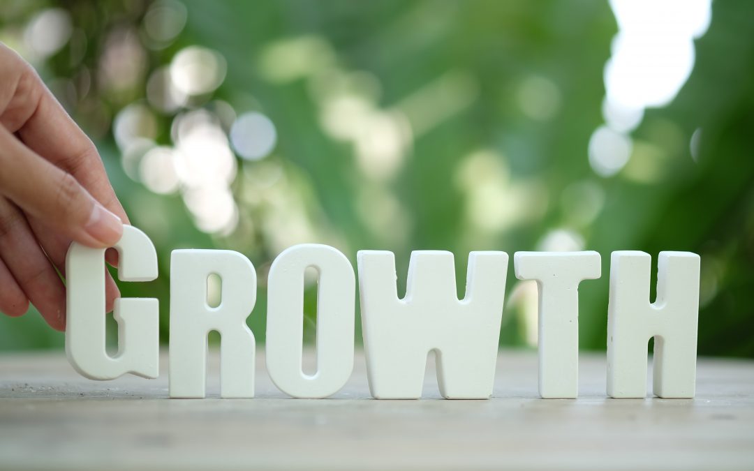 ESTRATEGIAS PARA EL CRECIMIENTO CONTINUO