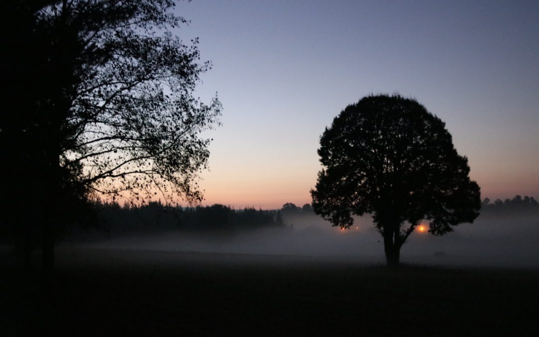 UN CAMBIO DE PERSPECTIVA