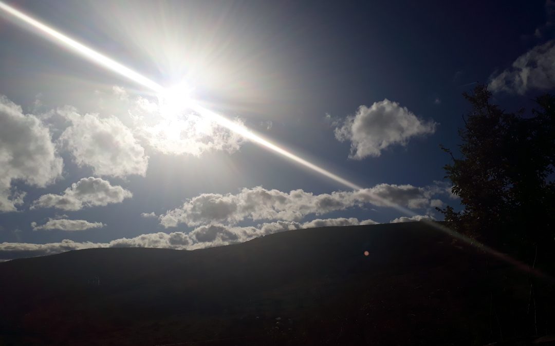 LIDERAZGO HUMANISTA: UNA LUZ RENOVADA PARA SEGUIR TU CAMINO