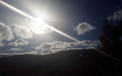 LIDERAZGO HUMANISTA: UNA LUZ RENOVADA PARA SEGUIR TU CAMINO